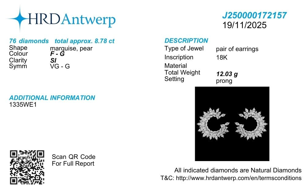 Celebrity Fancy Diamond Hoop Earrings in 18k Gold